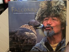 Falconry ( autografiado Javier Ceballos) 90€
