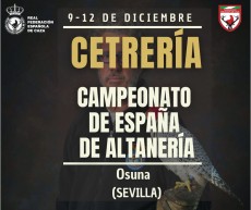 Campeonato de España  Bajo vuelo