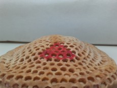 Gorro Rcolector 80 €