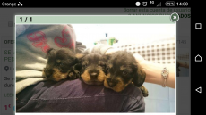 Screenshot_20161210-140043.png