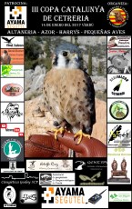 CARTEL CASTELLANO..JPG