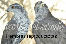 FB_IMG_1484253488046.jpg