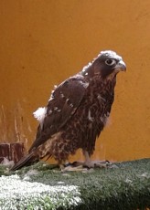 20160606_113009-1.jpg