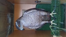20161030_153649.jpg