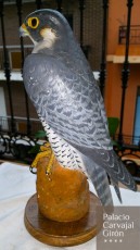 20160810_121402.jpg