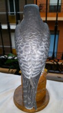 20160810_121410.jpg