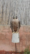 IMG_20170223_143314.jpg