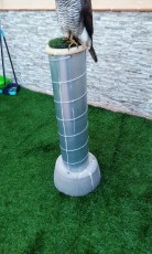 IMG_20170227_183718.jpg