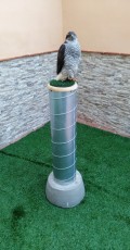 IMG_20170227_183631.jpg