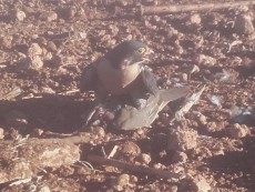 20161029_102233.jpg