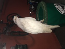 IMG_4305.JPG