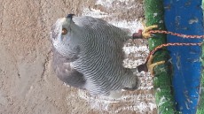 20170216_103024.jpg