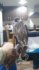 IMG_20170114_204741.jpg