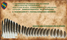 I curso de injertos de plumas en aves de cetrería,