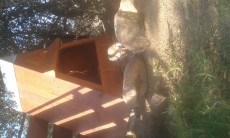 IMG-20170406-WA0002.jpeg