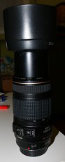 _MG_1078.JPG