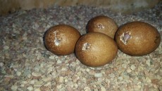20170408_154533.jpg