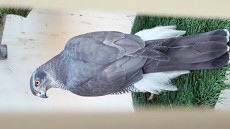 20160220_174307.jpg