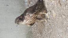 20170423_113511.jpg