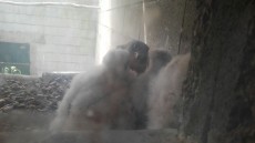 IMG-20170424-WA0091.jpg
