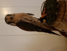 20170430_134846.jpg