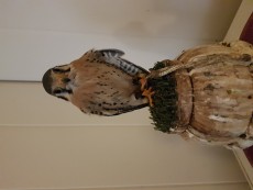 20170430_134840.jpg