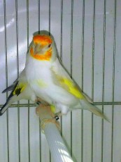 IMG-20170504-WA0006.jpg