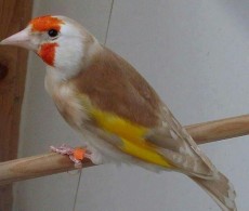 IMG-20170510-WA0033.jpg