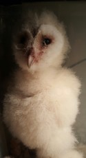 20170511_161108.jpg