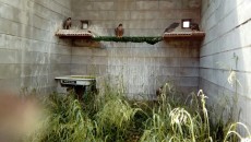 IMG-20170516-WA0063.jpg