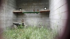 IMG-20170526-WA0030.jpg