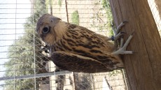 20170526_150535.jpg