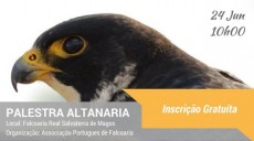 Palestra-Altanaria-e1496176172586.jpg