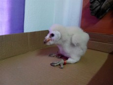 IMG-20170531-WA0027.jpg