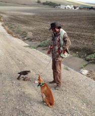 Si queréis ver fotos de mis pájaros lo podéis hacer en Facebook a nombre de Manuel Falcó de Gran