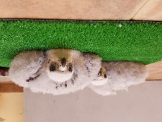 20170602_104927.jpg