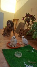 IMG-20170602-WA0133.jpg