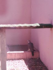 IMG-20170607-WA0014.jpg