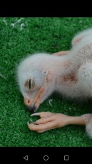 IMG-20170609-WA0011.jpg