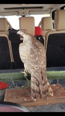 IMG-20170611-WA0056.jpg
