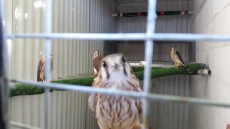 20170607_183750.jpg