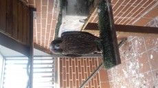20170621_161707.jpg