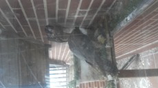 20170625_154414.jpg