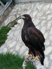 20130701_210948.jpg