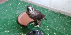 IMG-20170628-WA0026.jpg