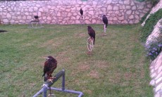 IMG-20111010-WA0019.jpg