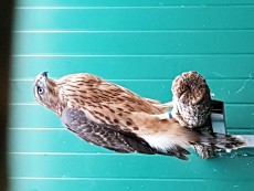 20170708_221326.jpg