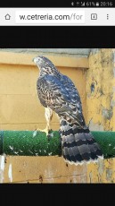 IMG-20170713-WA0002.jpg