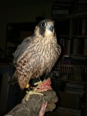 IMG_20170714_235518.jpg