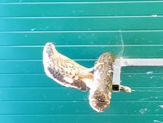 20170715_140831.jpg